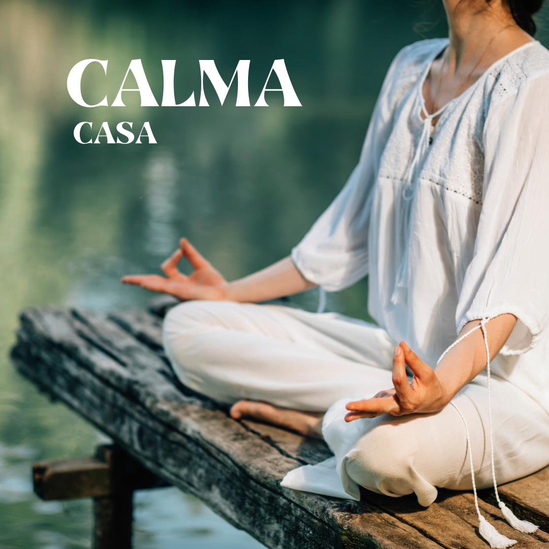 מפיץ ריח חשמלי מקצועי