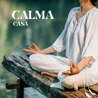 מפיץ ריח חשמלי מקצועי